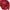 Dickies Vintage Casual Hoody Pria red photo 3