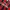 Y2K Casual Jersey Pria red black photo 3