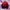 Descente Sportswear Track jacket Pria red photo 1