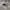 Nike Casual Sneakers Pria white red photo 1