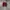 Nike Casual Sneakers Pria white red photo 5