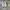 Nike Minimalist Casual Sneakers Pria white black photo 5