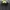 The North Face Luxury Minimalist Polo shirt Pria black photo 3