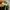 Nike Futurist Casual Sneakers Pria green gray photo 8