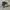 Nike Futurist Casual Sneakers Pria green gray photo 3