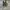 Nike Futurist Casual Sneakers Pria green gray photo 5