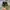 Nike Futurist Casual Sneakers Pria green gray photo 6