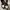 Nike Air Jordan Streetwear Sportswear Sneakers Pria white black photo 3