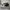 Nike Air Jordan Streetwear Sportswear Sneakers Pria white black photo 2