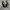 Adidas Futurist Casual Sneakers Pria white black photo 3