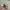 C.P. Company Streetwear Casual Hat Pria multicolor photo 5