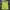 MLB Streetwear Casual T-shirt Pria green photo 1