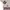 Le Coq Sportif Casual Hoody Pria cream photo 3