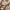 Le Coq Sportif Casual Hoody Pria cream photo 6