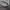Carhartt Streetwear Luxury Sweater Pria gray photo 4