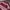 Vintage Sweater Pria burgundy red photo 3