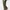 GU Streetwear Gorpcore Pria green photo 5