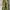 GU Streetwear Gorpcore Pria green photo 1