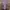 Casual Casual shirt Pria purple photo 4