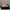 Adidas Sportswear Pria white pink photo 1