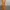 Streetwear Luxury Midi dress Wanita orange photo 3