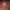 Vintage Biker Hat Pria red photo 1
