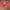 Vintage Biker Hat Pria red photo 4