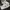 Nike Sportswear Casual Sneakers Wanita white photo 1