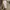 Beverly Hills Polo Club Casual Polo shirt Pria brown photo 3