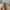 Porter Yoshida Streetwear Sportswear Bag Pria khaki photo 2