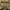 Burberry Y2K Luxury Hobo Bag Wanita Tan Brown
