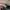 Burberry Y2K Luxury Hobo bag Wanita tan brown photo 8