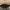 Burberry Y2K Luxury Hobo bag Wanita tan brown photo 6