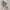 New Balance Streetwear Sportswear Sneakers Pria white gray photo 4