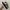VANS Streetwear Skater Casual shoe Pria black photo 1