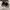 VANS Streetwear Skater Casual shoe Pria black photo 4