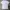 Gildan Streetwear Y2K T-shirt Pria multicolor white photo 4