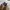 Stussy Vintage Y2K Boxer Pria white black photo 3