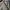 Levi's Streetwear Y2K Jeans Pria gray photo 4