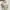 GENTLEWOMAN Minimalist Casual Handbag Wanita white photo 1