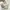 GENTLEWOMAN Minimalist Casual Handbag Wanita White