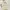 GENTLEWOMAN Minimalist Casual Handbag Wanita white photo 2