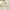 GENTLEWOMAN Minimalist Casual Handbag Wanita White