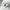 Polo Ralph Lauren Casual Hat Pria white photo 2