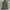 Adidas Streetwear Sportswear Track jacket Pria green photo 1