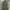 Adidas Streetwear Sportswear Track Jacket Pria Green