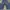H&M Casual Skinny jeans Wanita blue photo 2