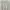 H&M Minimalist Cardigan Wanita white cream photo 1