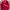 Adidas Streetwear Sportswear Track Jacket Pria Red
