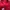 Adidas Streetwear Sportswear Track jacket Pria red photo 2